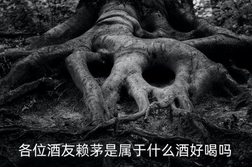 各位酒友賴茅是屬于什么酒好喝嗎