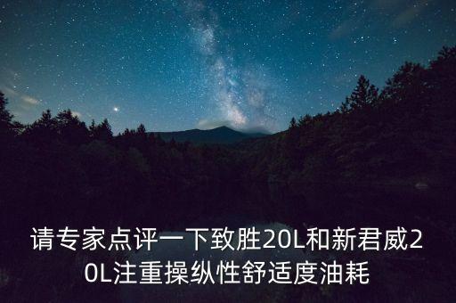 請專家點(diǎn)評一下致勝20L和新君威20L注重操縱性舒適度油耗