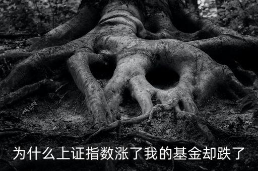 為什么上證指數(shù)漲了我的基金卻跌了