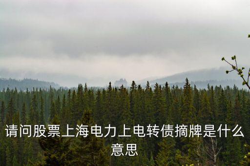 債券摘牌什么意思，天房發(fā)展摘牌公告什么意思