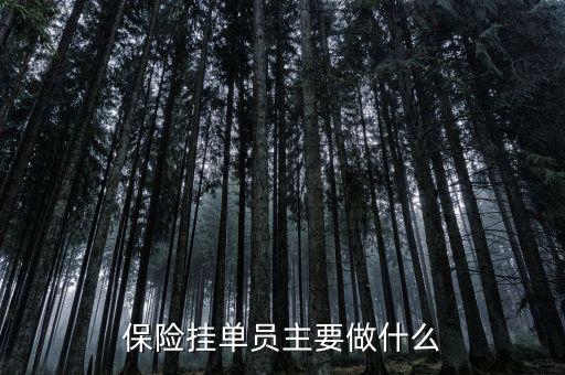 保險掛單員主要做什么
