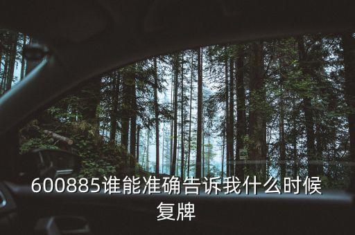 600885誰能準(zhǔn)確告訴我什么時(shí)候復(fù)牌