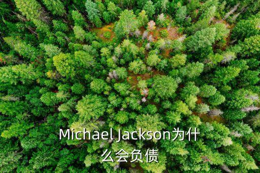 泰森為什么負(fù)債，泰森為何欠那么多錢