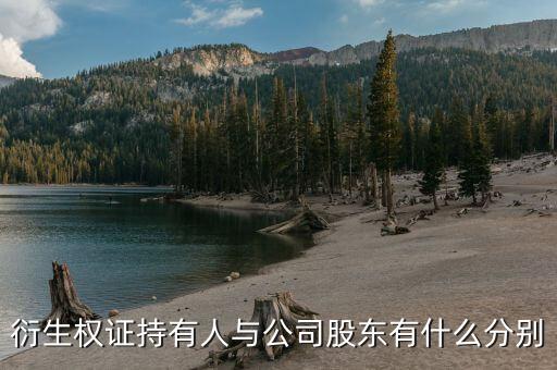 衍生權(quán)證是什么，衍生權(quán)證持有人與公司股東有什么分別