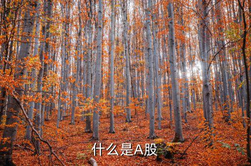 a股市場(chǎng)什么意思，什么是A股