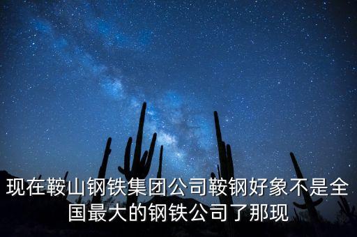 現(xiàn)在鞍山鋼鐵集團公司鞍鋼好象不是全國最大的鋼鐵公司了那現(xiàn)