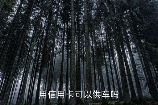 供車用什么信用卡，用信用卡可以供車嗎
