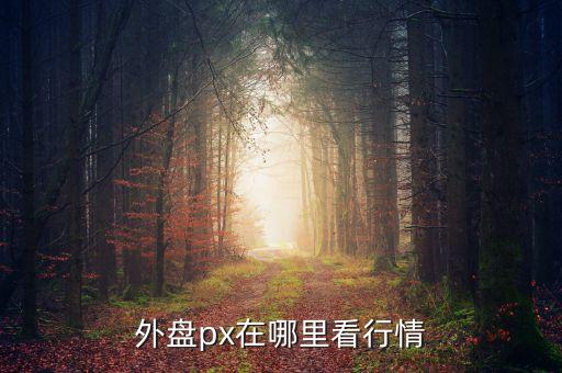 外盤px在哪里看行情
