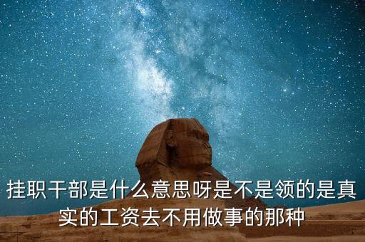 掛職干部是什么意思呀是不是領(lǐng)的是真實(shí)的工資去不用做事的那種