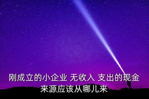 小企業(yè)主為什么沒(méi)現(xiàn)金，剛成立的小企業(yè) 無(wú)收入 支出的現(xiàn)金來(lái)源應(yīng)該從哪兒來(lái)