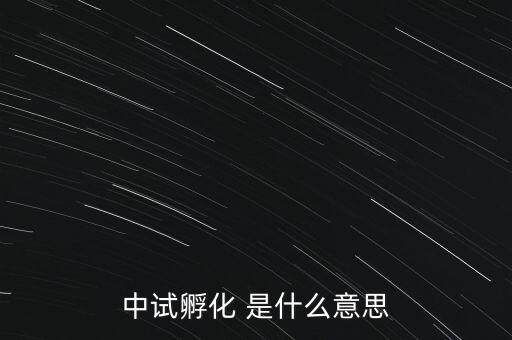 中試孵化是什么意思，中試孵化 是什么意思