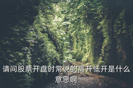 請(qǐng)問(wèn)股票開(kāi)盤時(shí)常說(shuō)的高開(kāi)低開(kāi)是什么意思啊
