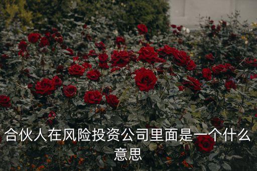 vc合伙人是什么，風(fēng)險(xiǎn)投資公司中的合伙人和經(jīng)理人都是什么意思