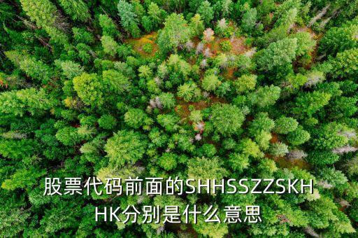 股票hk開(kāi)頭是什么意思，股票號(hào)碼前加HK是什么意思