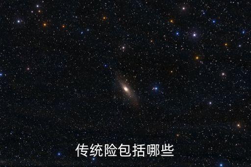 傳統(tǒng)險包括哪些