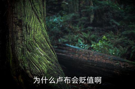 為什么盧布會貶值啊