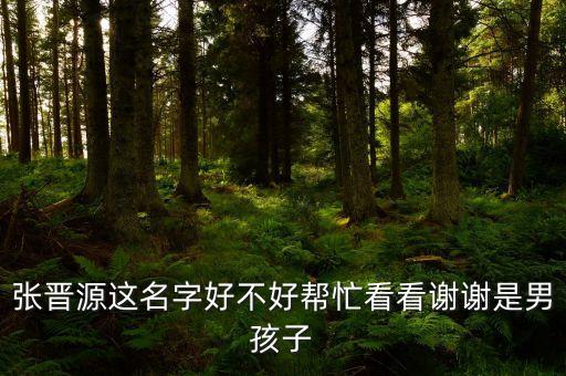張晉源什么意思，sotong是什么意思