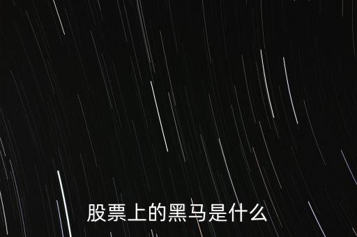股票黑馬什么意思，股市上的黑馬是什么意思