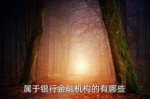 屬于銀行金融機(jī)構(gòu)的有哪些