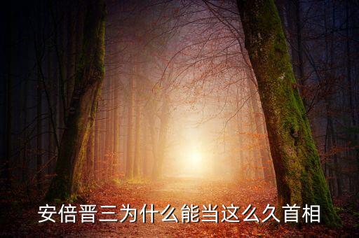 安倍為什么當了這么久首相，安倍為什么只當了幾天的首相