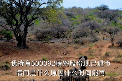 我持有600092精密股份現(xiàn)已退市請問是什么原因什么時(shí)間能再