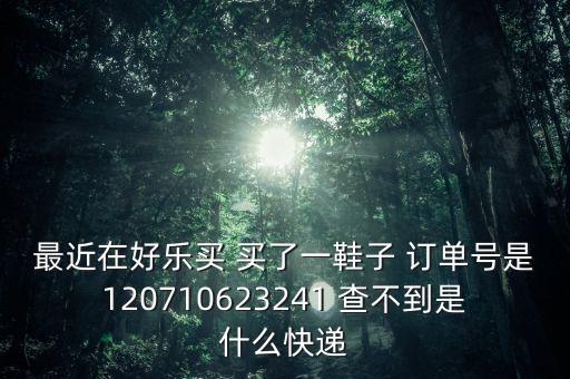 最近在好樂(lè)買 買了一鞋子 訂單號(hào)是120710623241 查不到是什么快遞