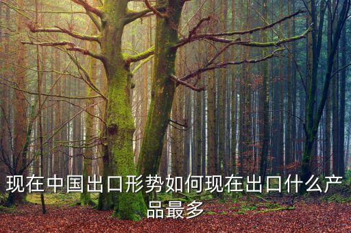 現(xiàn)在中國出口形勢如何現(xiàn)在出口什么產品最多