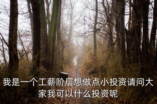 我是一個(gè)工薪階層想做點(diǎn)小投資請(qǐng)問大家我可以什么投資呢