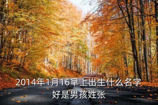 2014年1月16早上出生什么名字好是男孩姓張