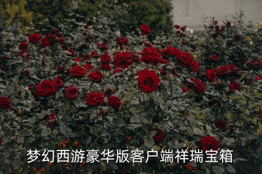夢幻西游豪華版客戶端祥瑞寶箱