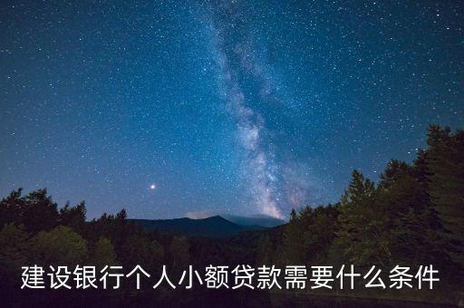 建設(shè)銀行個(gè)人小額貸款需要什么條件