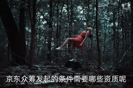 京東眾籌發(fā)起的條件需要哪些資質(zhì)呢