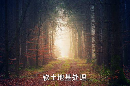 溫州填海什么時候啟動，軟土地基處理