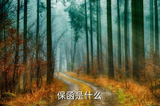 保函是什么