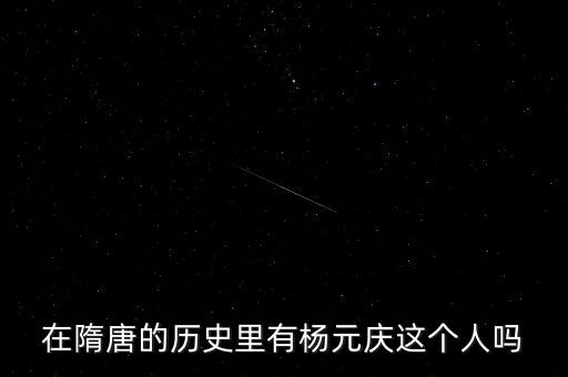 在隋唐的歷史里有楊元慶這個(gè)人嗎