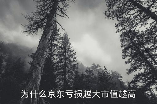 為什么京東虧損越大市值越高