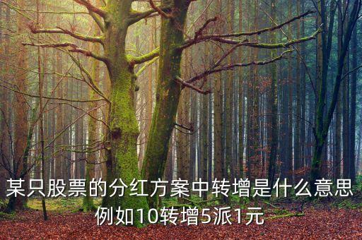 某只股票的分紅方案中轉(zhuǎn)增是什么意思例如10轉(zhuǎn)增5派1元