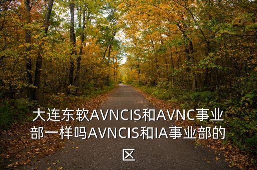 大連東軟AVNCIS和AVNC事業(yè)部一樣嗎AVNCIS和IA事業(yè)部的區(qū)