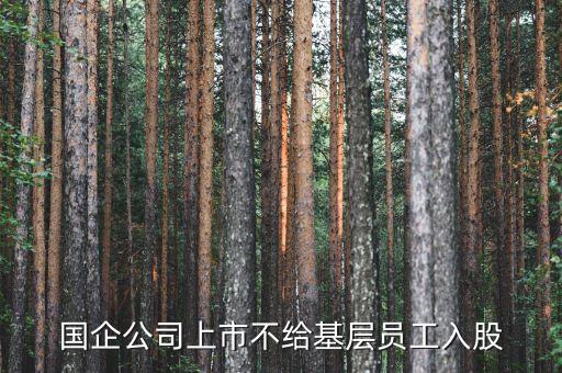 國企公司上市不給基層員工入股