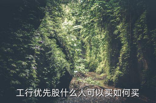 什么人可以買優(yōu)先股，怎樣才能買到優(yōu)先股