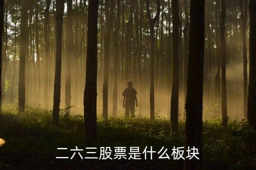 885726是什么板塊，885687股票板塊是什么意思