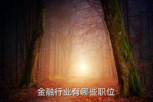 金融業(yè)有什么崗位，金融業(yè)有哪些職位