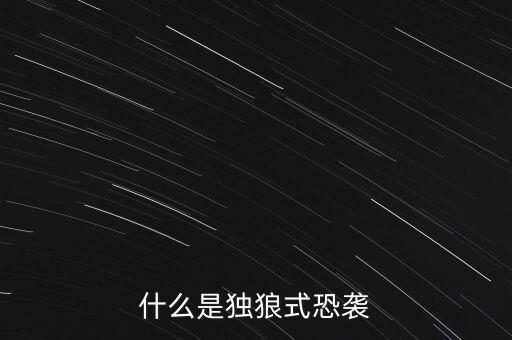 什么是獨(dú)狼式襲擊，獨(dú)狼式恐怖行為是什么