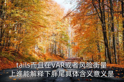 tails而且在VAR或者風(fēng)險衡量上誰能解釋下胖尾具體含義意義是