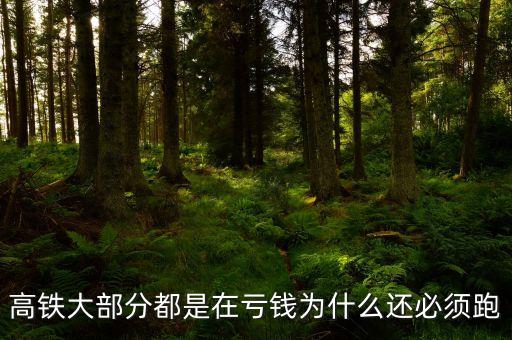 高鐵大部分都是在虧錢為什么還必須跑