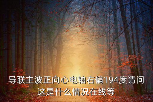 導(dǎo)聯(lián)主波正向心電軸右偏194度請問這是什么情況在線等