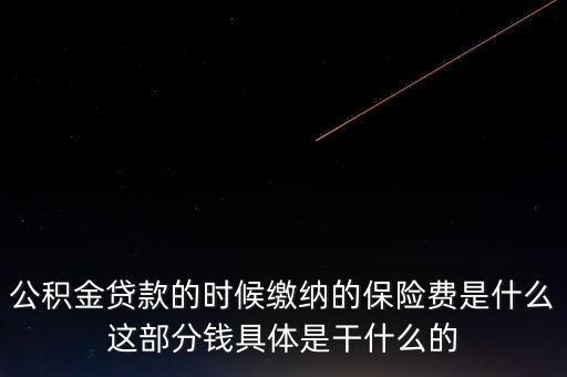 公積金貸款的時(shí)候繳納的保險(xiǎn)費(fèi)是什么這部分錢具體是干什么的