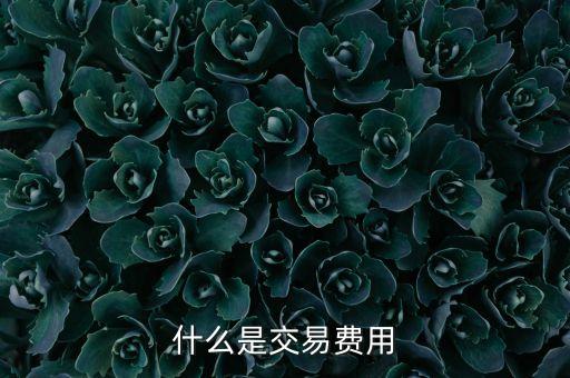 什么是交易費(fèi)用，什么是交易費(fèi)用