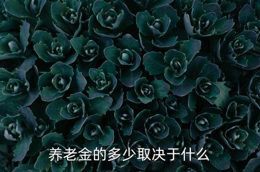 養(yǎng)老金的多少與什么相關(guān)，養(yǎng)老金的多少取決于什么