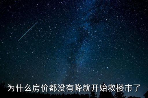 政府為什么救市房價(jià)，為什么房價(jià)都沒有降就開始救樓市了